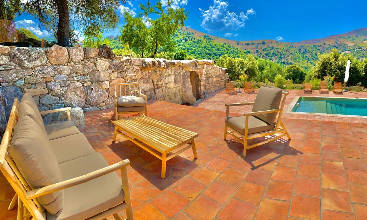 Residence De Luxe 4 Etoiles A Pietralba, 4 Logements Piscine Chauffee Balagne Exteriér fotografie