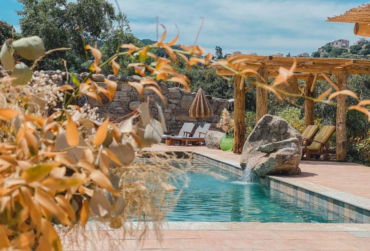 Residence De Luxe 4 Etoiles A Pietralba, 4 Logements Piscine Chauffee Balagne Exteriér fotografie