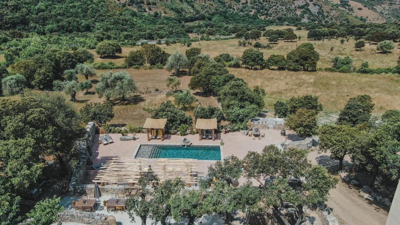 Residence De Luxe 4 Etoiles A Pietralba, 4 Logements Piscine Chauffee Balagne Exteriér fotografie