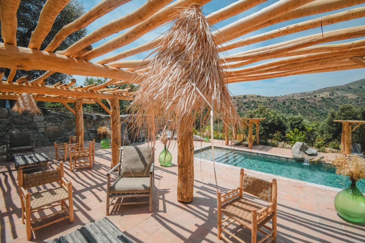 Residence De Luxe 4 Etoiles A Pietralba, 4 Logements Piscine Chauffee Balagne Exteriér fotografie