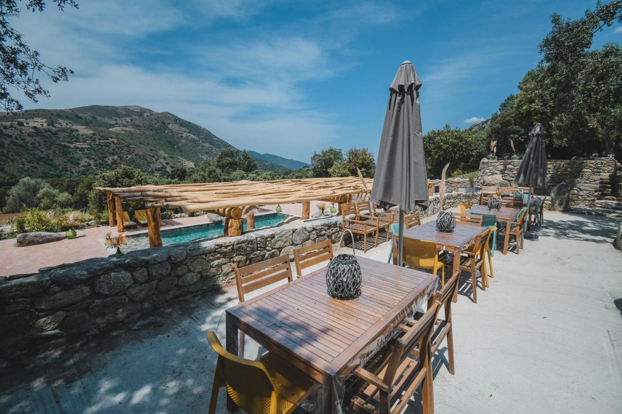 Residence De Luxe 4 Etoiles A Pietralba, 4 Logements Piscine Chauffee Balagne Exteriér fotografie