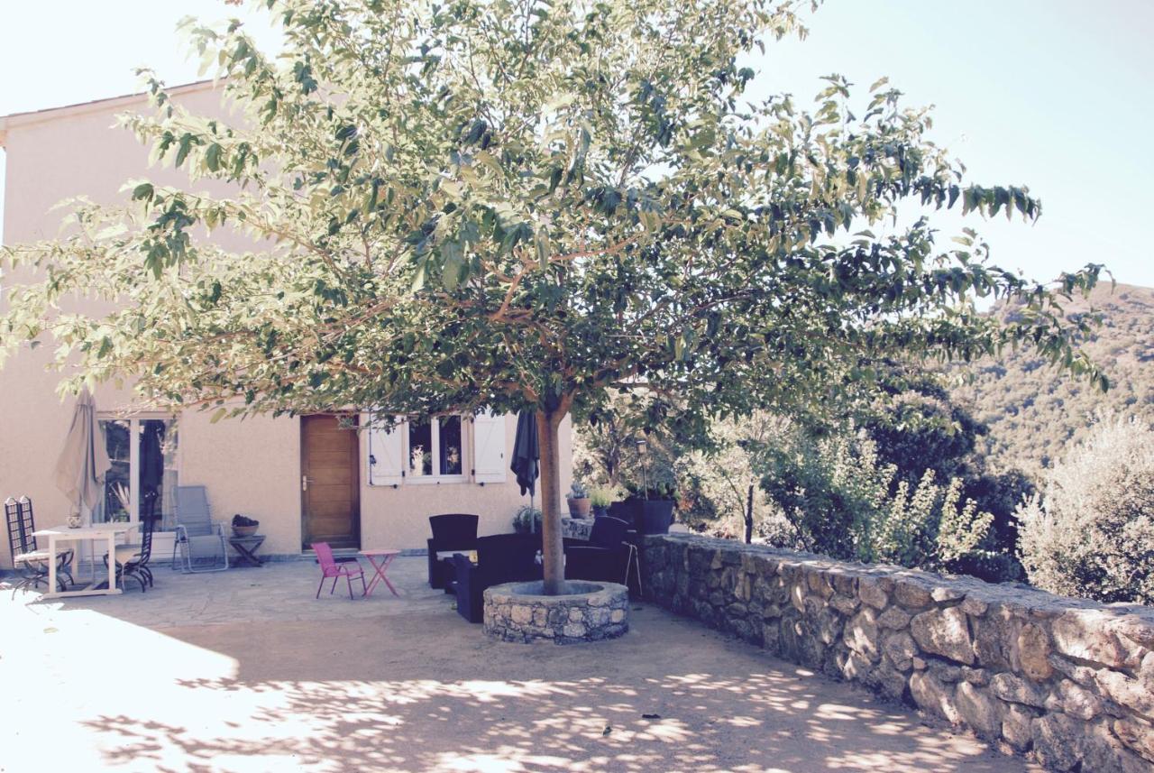 Residence De Luxe 4 Etoiles A Pietralba, 4 Logements Piscine Chauffee Balagne Exteriér fotografie